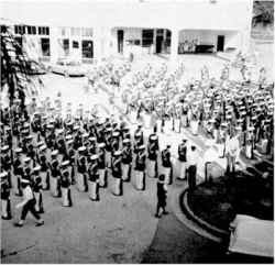 Click on picture for a larger view....