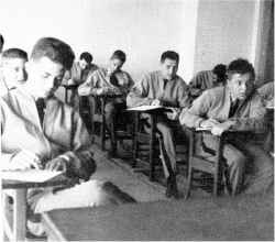 Click on picture for a larger view....