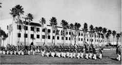 Click on picture for a larger view....